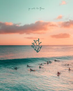 Enjoy the waves, respect the earth. 🪸