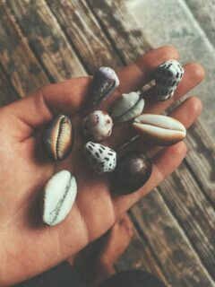 A shell per day keep the doctor away 🐚
Ces dernières semaines, j’ai troqué mes aiguilles et mes ciseaux contre des palmes et des coquillages.
Tahiti, Moorea, Bora, Rangiroa… Des perles perdues au milieu du Pacifique, des parenthèses suspendues entre le reef, la nature et les couchers de soleil.
Je suis partie m’inspirer, respirer, surfer, rêver aussi.
J’ai rempli mes poches de sable, mes yeux de lumière, et mon carnet d’idées pour les prochaines collections 🌺
Je reviens bientôt avec des surprises… et un peu de magie dans les bagages.